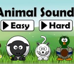 Animal Sounds Animal Sounds