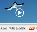 HD Video Media Player for Windows 2018 HD Video Media Player for Windows 2018