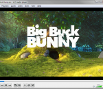 VLC Media Player Portable 3.0.10 VLC Media Player Portable 3.0.10