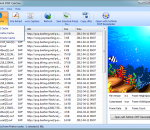 Sothink SWF Catcher 2.6 Sothink SWF Catcher 2.6