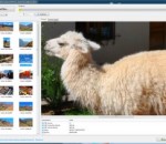DiskDigger 1.7.1.1629 DiskDigger 1.7.1.1629