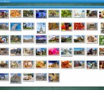 Jigs@w Puzzle 2.43 Jigs@w Puzzle 2.43