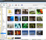 MovieShop Browser 1.7.4 MovieShop Browser 1.7.4