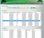 Process Heap Viewer 4.5 Process Heap Viewer 4.5