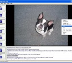 SteganographX Plus 2.0 SteganographX Plus 2.0