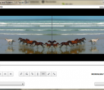 Free Video Flip and Rotate 1.1.35.831 Free Video Flip and Rotate 1.1.35.831