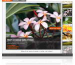 Advanced Image Gallery DW Extension 1.0.1 Advanced Image Gallery DW Extension 1.0.1
