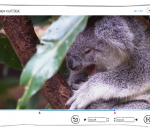 Gihosoft Free Video Cutter 1.2.1 Gihosoft Free Video Cutter 1.2.1