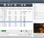 4Media DVD to iPhone Suite 6.5.3.0310 4Media DVD to iPhone Suite 6.5.3.0310