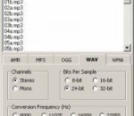 AMR Converter Pro 4.01 AMR Converter Pro 4.01