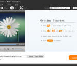 Shining Flash to Video Converter 6.6.6 Shining Flash to Video Converter 6.6.6