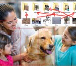 AI Image Mover 1.00 AI Image Mover 1.00