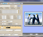 Rollover Maker Pro 6.0.5 Rollover Maker Pro 6.0.5