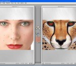 Abrosoft FantaMorph Pro 5.4.3 Abrosoft FantaMorph Pro 5.4.3