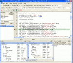 Team Remote ASP Debugger PRO 8.81 Team Remote ASP Debugger PRO 8.81