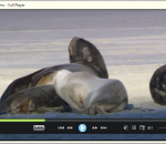 Full Player 8.2.2 Full Player 8.2.2