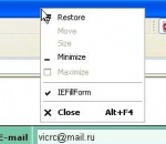 Web form filler IEFillForm 3.0 Web form filler IEFillForm 3.0