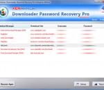 Downloader Password Recovery Pro 2021 3.0 Downloader Password Recovery Pro 2021 3.0