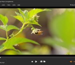 AnyMP4 Blu-ray Player 6.5.8 AnyMP4 Blu-ray Player 6.5.8