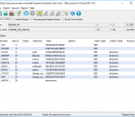 JRecoverer for Oracle Database Passwords 1.4.1 JRecoverer for Oracle Database Passwords 1.4.1