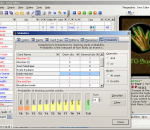 MTG Studio 3.17 MTG Studio 3.17