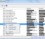 SterJo Browser Passwords 1.7 SterJo Browser Passwords 1.7