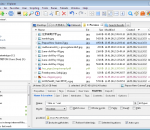 XYplorer 13.80.0000 XYplorer 13.80.0000