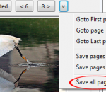 Flickr Downloader 1.0.0 Build 284 Flickr Downloader 1.0.0 Build 284