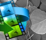 QQ Player 2012 3.6.883 QQ Player 2012 3.6.883