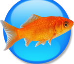 Goldfish 3.9 Goldfish 3.9