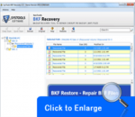 MS BKF File Recovery 4.0 MS BKF File Recovery 4.0