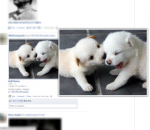 FB Photo Zoom for Firefox FB Photo Zoom for Firefox