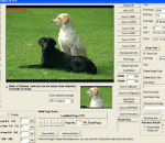VISCOM TIFF Viewer ActiveX SDK 11.05 VISCOM TIFF Viewer ActiveX SDK 11.05