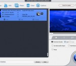 WinX MKV to MP4 Video Converter 1.0.0 WinX MKV to MP4 Video Converter 1.0.0