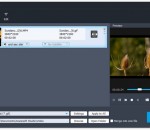 Aiseesoft Video to GIF Converter 1.1.12 Aiseesoft Video to GIF Converter 1.1.12