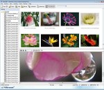 FileStream TurboZIP 8.5 FileStream TurboZIP 8.5