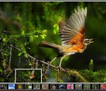 ASP.NET Image Gallery 3.0 ASP.NET Image Gallery 3.0