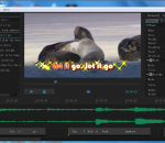 Sayatoo SubtitleMaker 2.3.9.6201 Sayatoo SubtitleMaker 2.3.9.6201