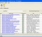SEO SpyGlass Live! Plan 3.13.2 SEO SpyGlass Live! Plan 3.13.2