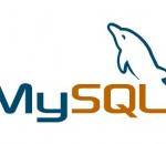 MySQL 5.1.73 MySQL 5.1.73