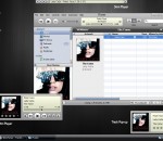 SkiniTunes 1.1.0 SkiniTunes 1.1.0