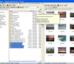 FileOrganiser Portable 1.800 FileOrganiser Portable 1.800