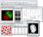 ImageJ 2.1.4.7 i1 ImageJ 2.1.4.7 i1