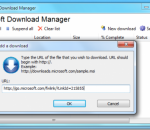 Microsoft Download Manager 1.2.1 Build2044 Microsoft Download Manager 1.2.1 Build2044