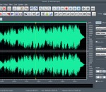 Dexster 4.8 Dexster 4.8