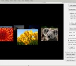 VISCOM 3D Carousel SDK ActiveX 2.35 VISCOM 3D Carousel SDK ActiveX 2.35