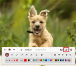 TuneFab Screen Recorder 2.2.22 TuneFab Screen Recorder 2.2.22