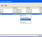SterJo Internet Explorer Passwords 1.3 SterJo Internet Explorer Passwords 1.3