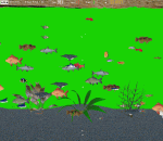 3D Fish Game 1.2.0 3D Fish Game 1.2.0