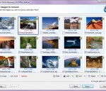 Magic Photo Recovery 3.1 Magic Photo Recovery 3.1